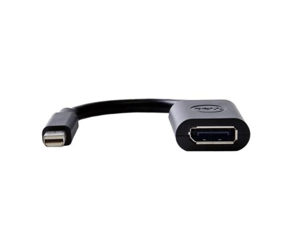 DisplayPort Female To Mini DisplayPort Male Adapter