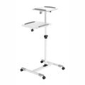 Data Projector and Laptop Trolley (1000*880*620mm - Steel)