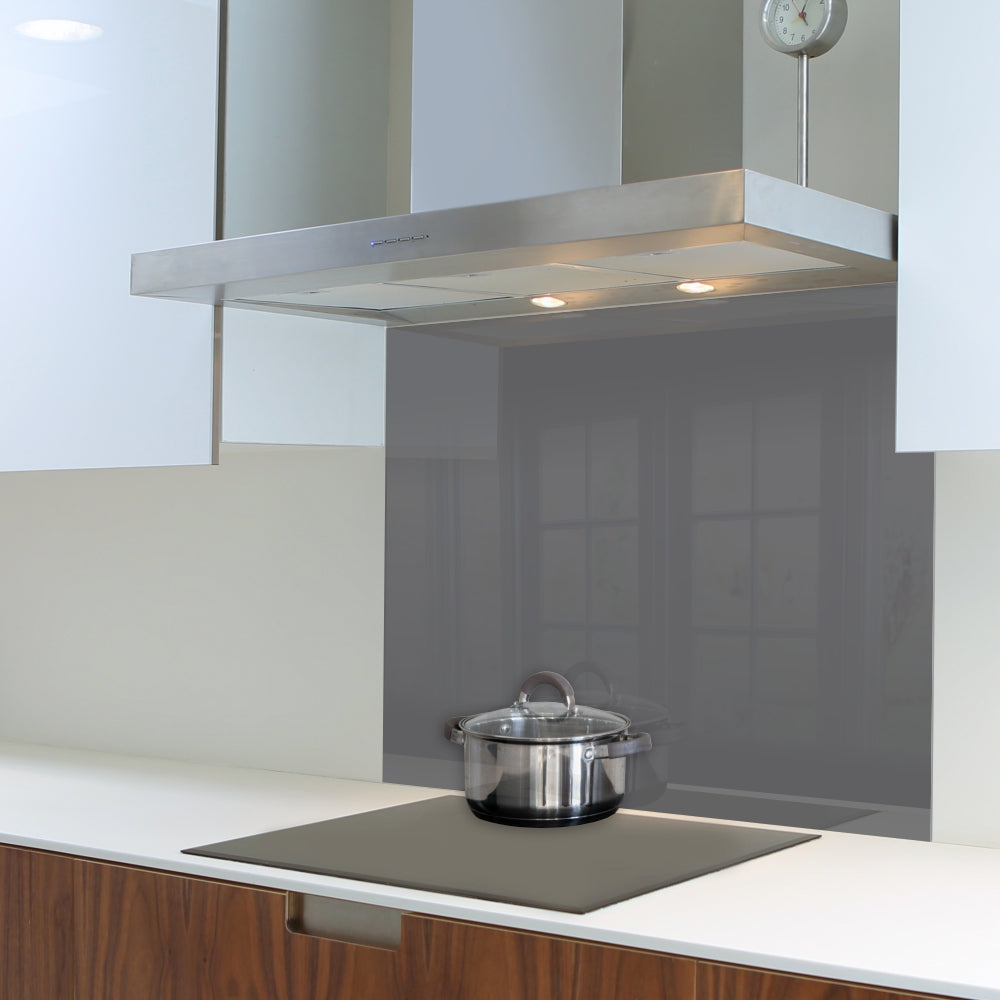Decorative Glass Wall Tile (898 X 700 X 6mm) Gun Metal 898x700mm Wall Art - Parrot at JATA KZN Durban
