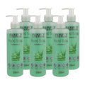 JANITORIAL HAND SOAP ALOE VERA 250ML BOX OF 6