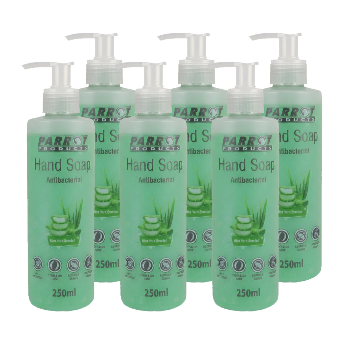 ANTIBACTERIAL HAND SOAP ALOE VERA 250ML BOX OF 6
