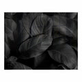 Decorative Glass Wall Tile (898 X 700 X 6mm) Feathers