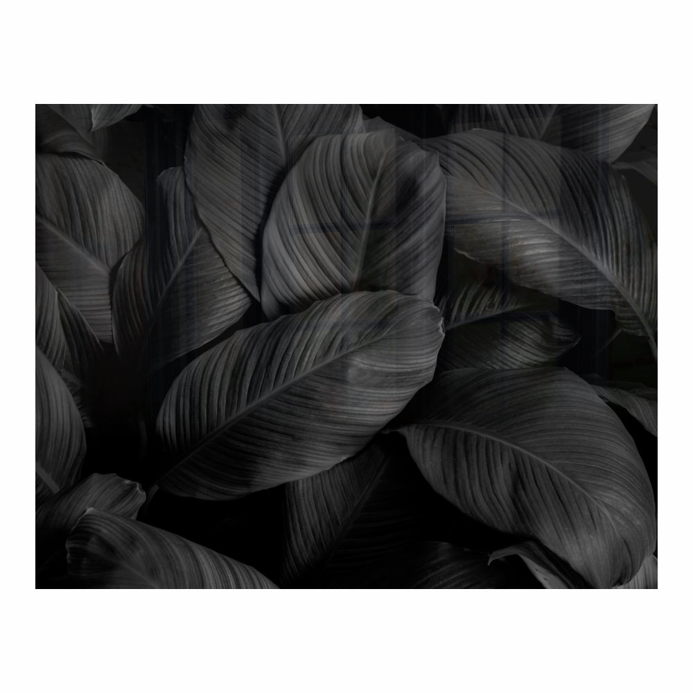 DECORATIVE GLASS WALL TILE 898MM X 700MM FEATHERS