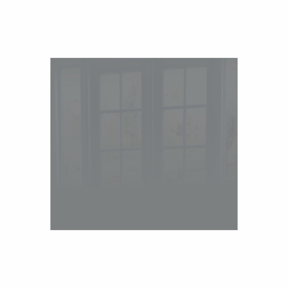 Decorative Glass Wall Tile (598 X 650 X 6mm) Metallic Silver 598x650mm Wall Art - Parrot at JATA KZN Durban