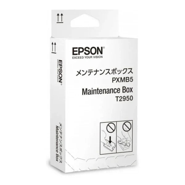 Epson Maintenance Box (WF-100 Printer)