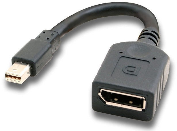 DisplayPort Female To Mini DisplayPort Male Adapter